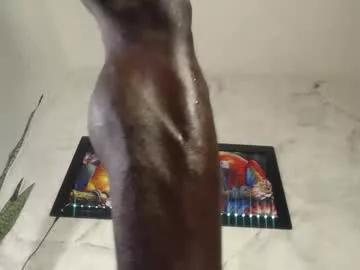 mrbyronstallion from Chaturbate is Freechat