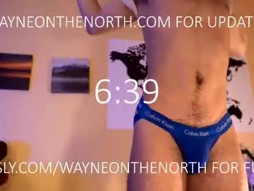 Photos of waynenorth from Chaturbate is Freechat
