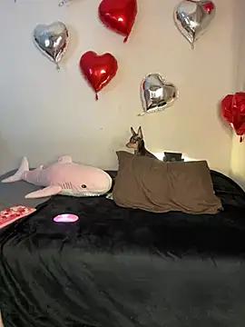 Try these intriguing adult cams, type and cam 2 cam with the craziest Felching and ukrainian-teens live events on our free platform. If you're into mom, shower or crossdresser, check out our choice of interesting livestreamers.