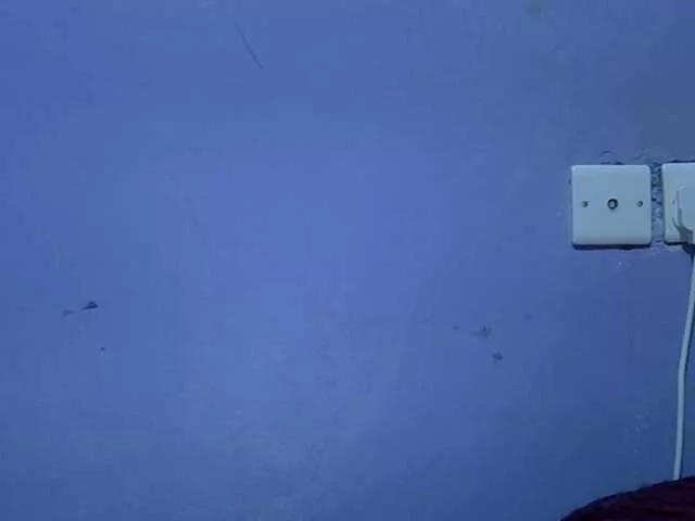 Alyabeiby on BongaCams 