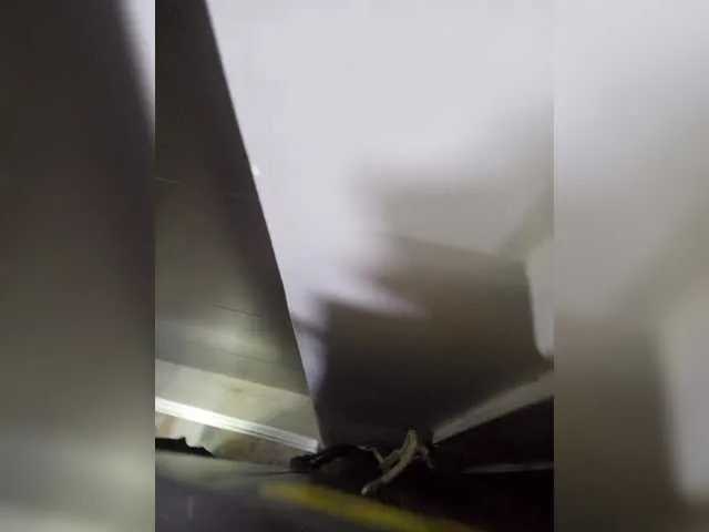 MaiaWatson on BongaCams 