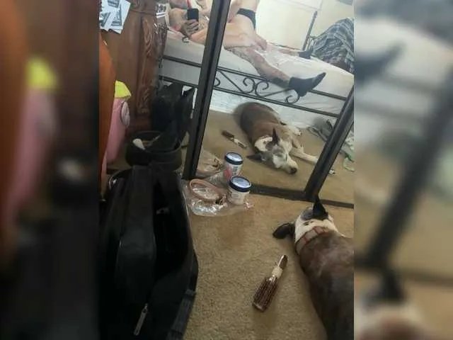 TattedNConvicted1 on BongaCams 