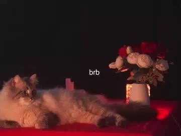 hannasthesia on Chaturbate 