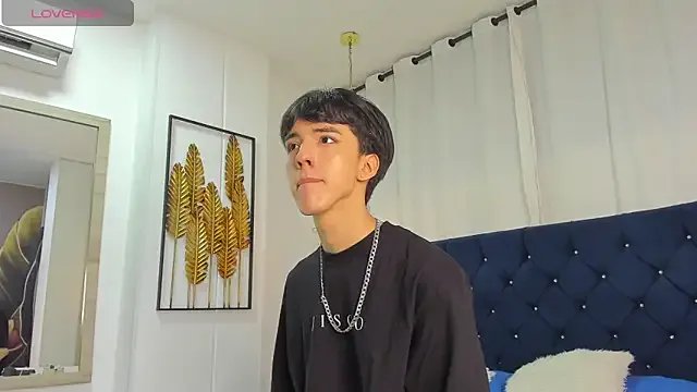 AerumChae model from sc