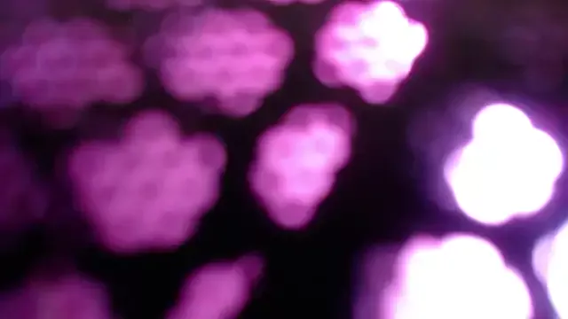 EngelCristaly on StripChat 